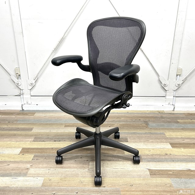 【送料無料!!】Herman Miller アーロンチェア フル装備 ランバーサポート Bサイズ パープル AE123AWB