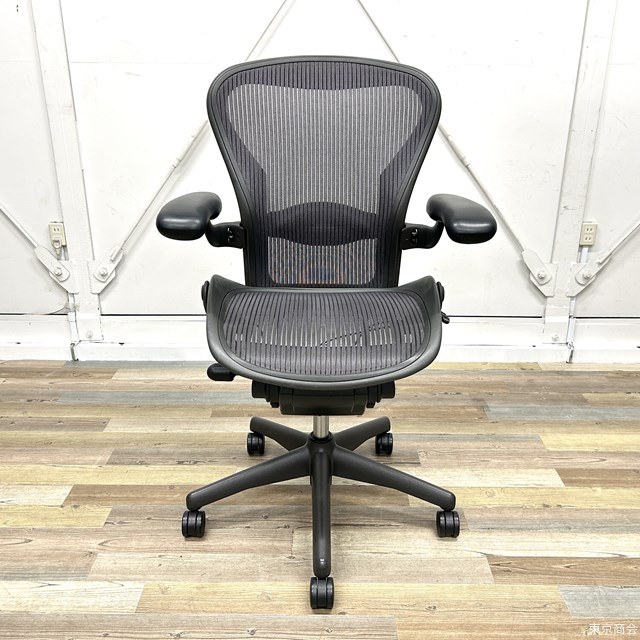 Herman Miller ハーマンミラー アーロンチェア フル装備 ランバー